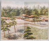 明治神宮全景其一・明治神宮全景其二/Panoramic View of Meiji Jingū (Part 1), Panoramic View of Meiji Jingū (Part 2) image