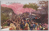 荒川堤五色ノ桜 THE FIVE COLOURS CHERRY BLOSSOMS AT ARAKAWA DIKE/Five-colored Cherry Blossoms at Arakawa Riverbank image