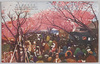 荒川堤五色ノ桜 THE FIVE COLOURS CHERRY BLOSSOMS AT ARAKAWA DIKE/Five-colored Cherry Blossoms at Arakawa Riverbank image