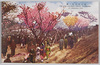 荒川堤五色ノ桜 THE FIVE COLOURS CHERRY BLOSSOMS AT ARAKAWA DIKE/Five-colored Cherry Blossoms at Arakawa Riverbank image
