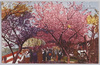 荒川堤五色ノ桜 THE FIVE COLOURS CHERRY BLOSSOMS AT ARAKAWA DIKE/Five-colored Cherry Blossoms at Arakawa Riverbank image