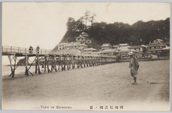 相州江之嶋ノ景　VIEW OF ENOSHIMA. / View of Enoshima, Sōshū image