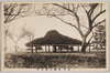 水戸常磐公園笠松/Kasamatsu Pine Tree in Tokiwa Park, Mito image