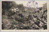 (相模大山)頂上御刈廻/(Mt. Ōyama, Sagami) Okarimawashi at the Summit image