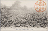 津嶋神社前蓮田の満開/Lotus in Full Bloom in Front of Tsushima Shrine image