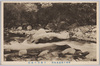 下部川の清流/Clear Stream of Shimobe River image