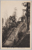 参道石段/Stone Steps of the Approach image