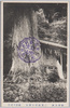 二重社杉の神木/Sacred Cedar Tree of Futae Shrine image