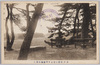 水戸常磐公園より千波湖を望む/View of Lake Semba From Tokiwa Park, Mito image