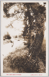 (近江)粟津の晴嵐 / (Ōmi) Sunny Mist at Awazu image