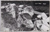 昇仙峡　人面石/Jinmenseki(Stone Looks Like Human Face), Shōsenkyō Gorge image