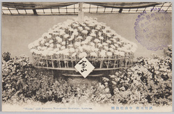 武州川和 中山松林圃 宝山 / Hōzan, Nakayama Shōrimpo at Kawawa, Bushū image