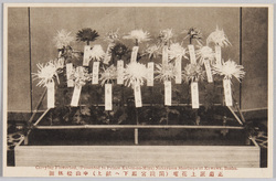 正菊床上花壇(閑院宮殿下へ献上)中山松林圃 / Chrysanthemums Flower Bed (Offering to His Imperial Highness Prince Kan'in), Nakayama Shōrimpo image