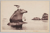 兜島/Kabuto Island image