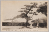 日蓮上人袈裟掛松/Nichiren Shōnin Kesagake no Matsu image