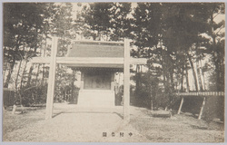 中村公園 / Nakamura Park image