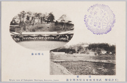 武州川和中山松林圃全景 / Full View of the Nakayama Shōrimpo Chrysanthemum Gardens, Kawawa, Bushū image