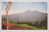 相州箱根　乙女峠ノ富士/Hakone, Sōshū: View of Mt. Fuji from the Otome Pass image