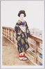 京美人/Kyoto Beauty image