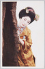 京美人/Kyoto Beauty image