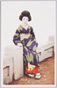京美人/Kyoto Beauty image