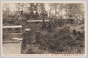 武州川和中山松林圃山上花壇全景/Nakayama Shōrimpo Chrysanthemum Gardens, Kawawa, Bushū: Full View of the Flower Beds on the Mound Top image