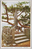熱海金色夜叉の碑/Monument of 
