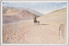 南米ペルー国大砂漠地帯を騎馬旅行中の世界探検家　菅野力夫/World Explorer Sugano Rikio Traveling on Horseback in a Large Desert Area in Peru, South America image