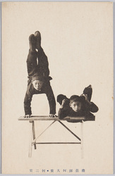 曲芸師何大宝　何二宝 / Acrobats Nandaihō and Nannihō image