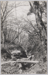 伊香保湯元呑湯 / Nomiyu (Hot Spring Water for Drinking) in Ikaho Yumoto image