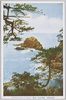 錦浦兜岩の美観/Beautiful Sight of the Kabutoiwa Rock, Nishikiura image