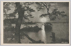 (陸前)松島 / (Rikuzen) Matsushima  image