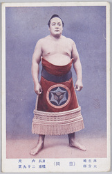 豊国福馬 / Sumō Wrestler Toyokuni Fukuma image