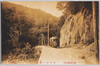 紅葉谷と電車/Momijidani Valley and Train image