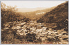 湯乃町より地獄谷を望む/View of the Jigokudani (Hell Valley) from Yunomachi image