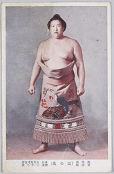 高の花(武也) / Sumō Wrestler Takanohana Takeya image