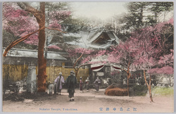 江の島中津宮 / Nakatsumiya, Enoshima Shrine image