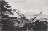 パノラマ台より富士山を望む/View of Mt. Fuji from the Panoramic Lookout image
