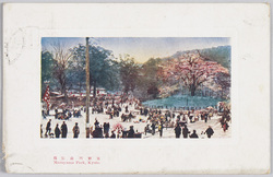 京都円山公園 / Maruyama Park, Kyoto image