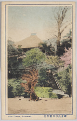 鎌倉長谷寺観音堂 / Hasedera Temple Kannondō Hall, Kamakura image