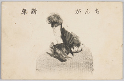 ちんが新年 / Best Wishes for the New Year of the Dog image