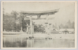 厳島神社 / Itsukushima Shrine image