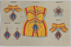 勲一等宝冠大綬章から勲五等宝冠章まで六種/Six Types from the First Class of the Grand Cordon of the Order of the Precious Crown to the Fifth Class of the Order of the Precious Crown image
