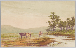 [富士近郊の風景] / [Scenery of the Environs of Mt. Fuji] image