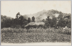 風景 / Scenery image