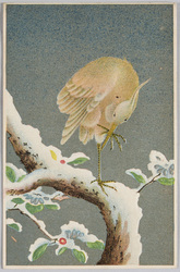 木にとまる鳥 / Bird Perching on a Tree Branch image