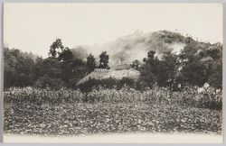 風景 (麦わら屋根の家2軒) / Scenery (Two Houses with Wheat Straw-Thatched Roofs) image