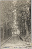 向山深林の石段/Stone Steps in the Deep Forest in Mukaiyama image