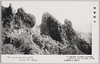 石門上よりの屏風岩　峻峯峨々/Perpendicular Cliff Viewed from the Stone Gate, Rugged Steep Peak image