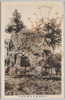 甲州身延七面山影嚮石/Mt. Shichimen, Minobe, Kōshū: Yōgōseki Stone image